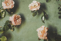 The Grande Journal - Botticelli's Roses